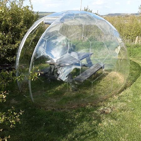 The Rainbow Pod Villa Milltown Malbay Eksteriør bilde